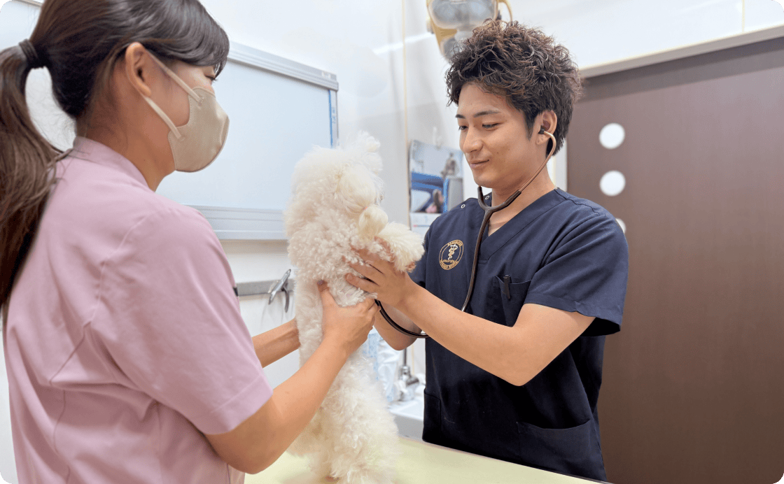 慈しみの心を持って動物に接する